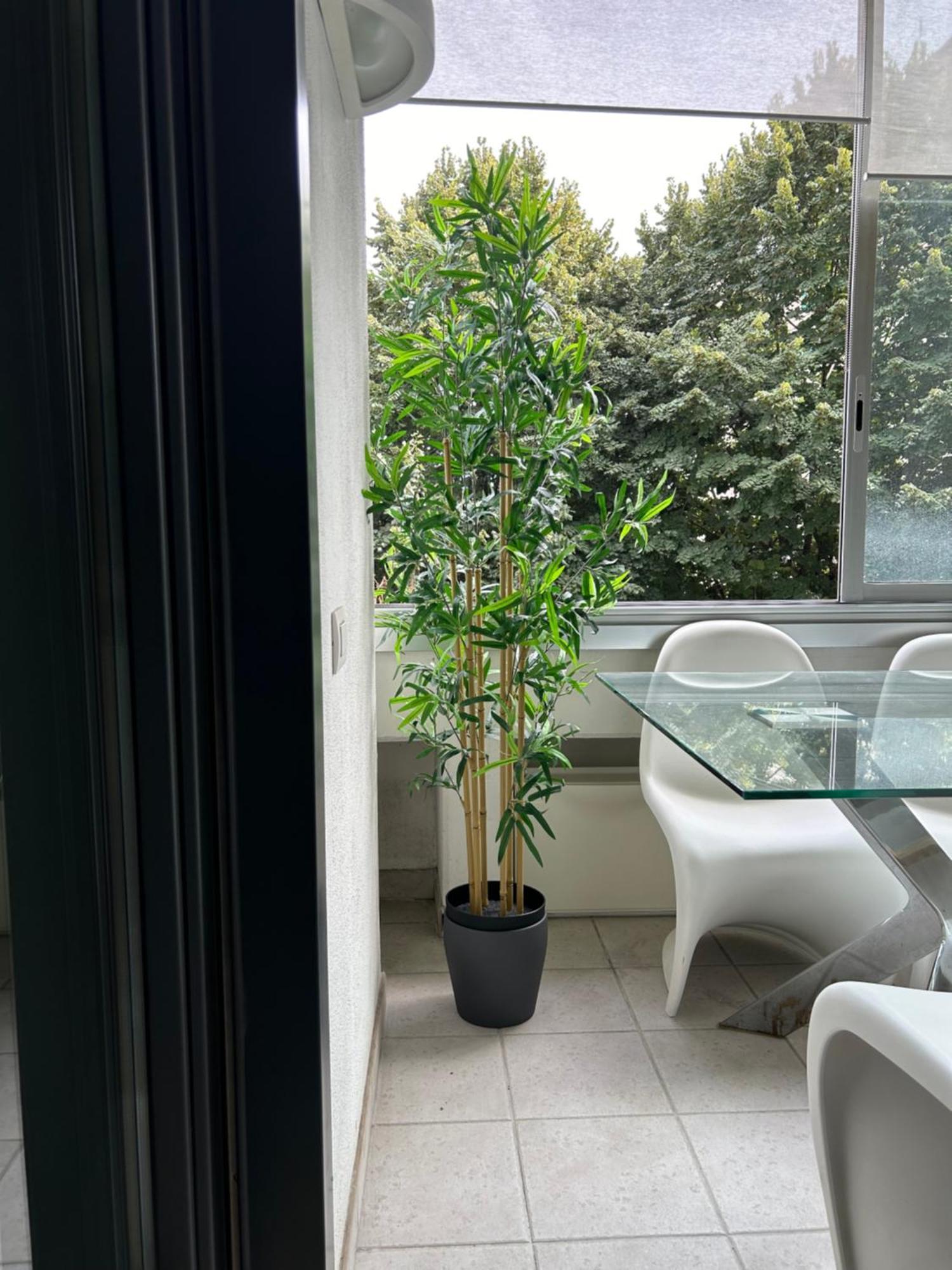 Dina Suite Roma Exterior foto